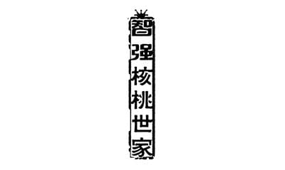 盛田機(jī)械制造案例展示-智強(qiáng)核桃世家